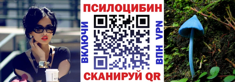 Псилоцибиновые грибы мицелий  hydra ТОР  Рыльск 